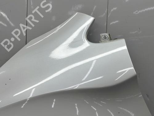Left front fenders CITROËN DS4 (NX_) 2.0 HDi / BlueHDi 135 | BP29634692C41 