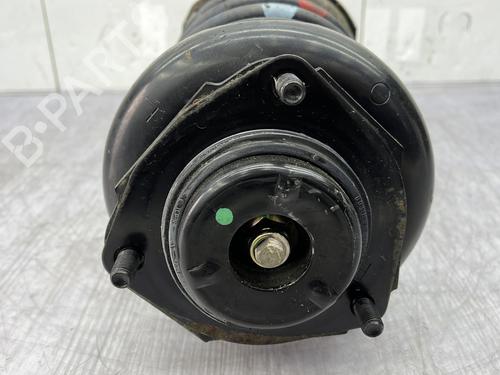 Left rear shock absorber NISSAN X-TRAIL I (T30)  | BP24950477M18 