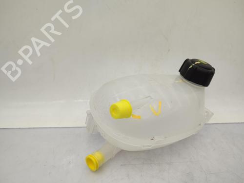 Used Expansion tank DACIA SANDERO III 1.0 SCe 65 (67 hp) 23729530