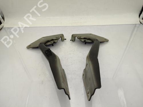 Used Hinge/Door check strap RENAULT MEGANE III Hatchback (BZ0/1_, B3_) 1.5 dCi (BZ09, BZ0D, BZ1W, BZ29, BZ14) (110 hp) 23739207
