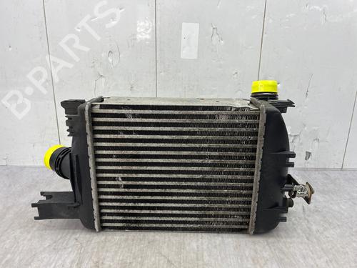 Intercooler DACIA SANDERO II 1.5 dCi | BP35890197M30 - Image 4