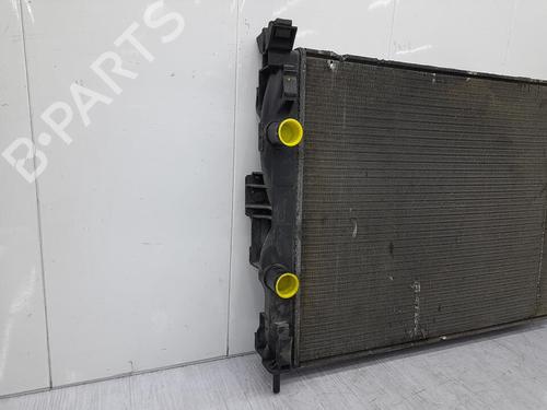 Køler RENAULT MEGANE II (BM0/1_, CM0/1_) 1.9 dCi (BM0G, CM0G) (120 hp) 23711634