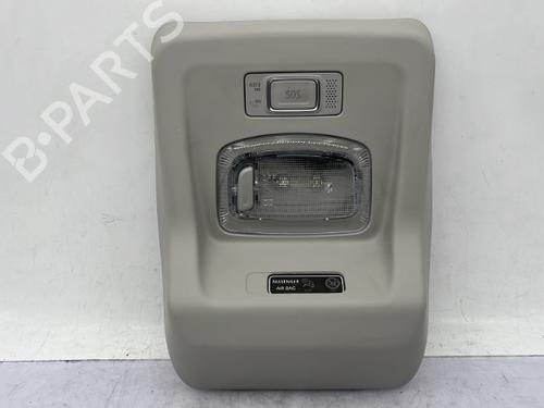 interior-roof-light-dacia-spring-2020-23751185 main image