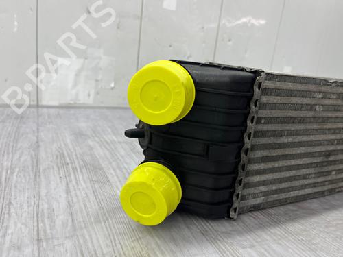 Intercooler CITROËN C3 Picasso (SH_) 1.6 HDi | BP38627115M30 - Image 3
