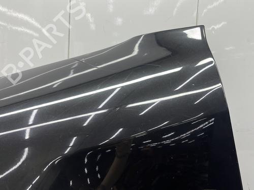 Forskærm venstre Forskærm venstre VW PHAETON (3D1, 3D2, 3D3, 3D4, 3D6, 3D7, 3D8, 3D9) 3.0 V6 TDI 4motion (224 hp) 29512704 29512704