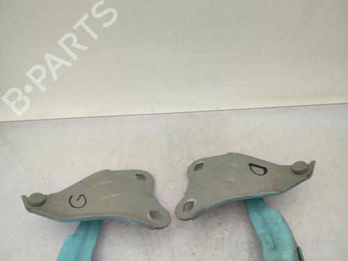 hingedoor-check-strap-renault-twingo-ii-cn0_-2007-23731518 main image