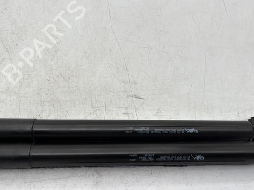 tailgate-lift-support-citroen-c3-ii-sc_-2009-23758790 main image