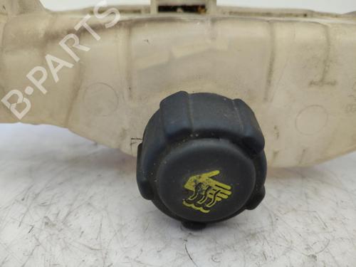Expansion tank RENAULT CLIO III (BR0/1, CR0/1) 1.5 dCi (BR17, CR17) | BP23710709C120 
