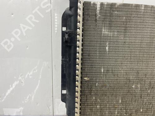 Water radiator RENAULT KANGOO Express (FW0/1_) | BP38425924M31 - Image 7