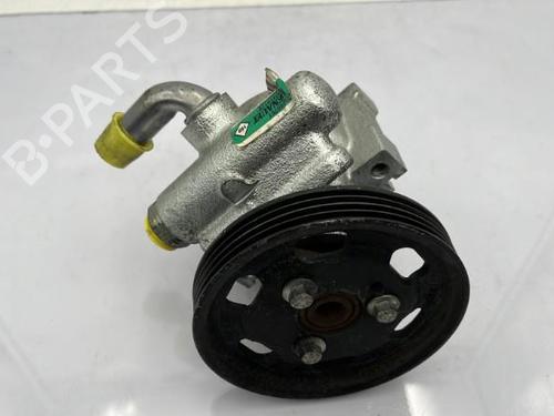 Steering pump DACIA SANDERO 1.2 16V LPG | BP23679792M99