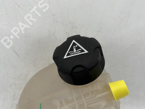 Expansion tank PEUGEOT 208 II (UB_, UP_, UW_, UJ_) 1.2 PureTech 75 | BP23681227C120 