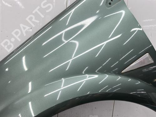 Left front fenders RENAULT MEGANE II (BM0/1_, CM0/1_) 1.6 16V (BM0C, CM0C) | BP25006484C41 