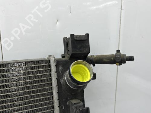 Water radiator DACIA LOGAN MCV II TCe 90 (K8M1, K8MA, K8AC) | BP27212936M31  - Image 8