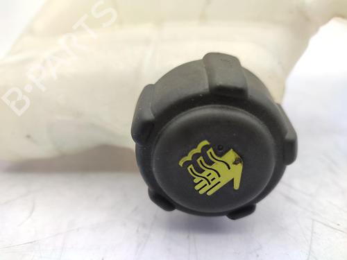 Expansion tank NISSAN QASHQAI II (J11, J11_) 1.5 dCi | BP23718628C120 
