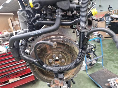 Engine VW POLO IV (9N_, 9A_) 1.4 TDI | BP23678751M1