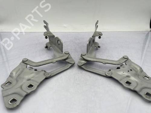 Hinge/Door check strap BMW X3 (F25) xDrive 30 d | BP23751830C146 