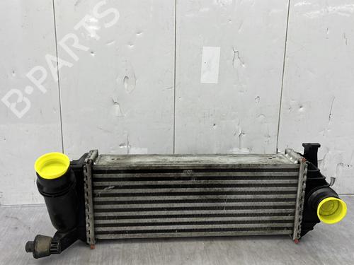 Intercooler RENAULT KANGOO Express (FW0/1_) 1.5 dCi 90 (FW0G, FW05, FW08, FW11) | BP33945233M30  - Image 8