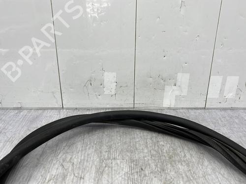 Rubber door seal VW GOLF VI (5K1) 2.0 TDI | BP23878628C142 