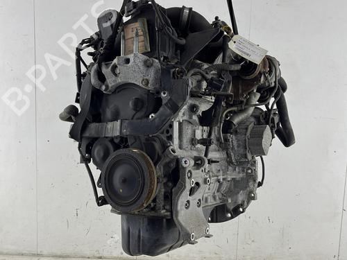 Used Engine FORD FIESTA VI (CB1, CCN) 1.5 TDCi (75 hp) 23933707