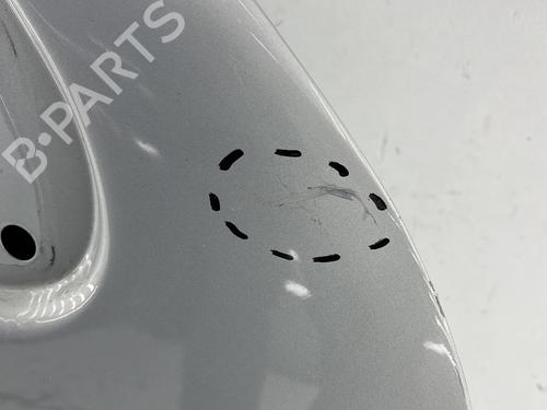 Right front door RENAULT KANGOO Express (FC0/1_) 1.5 dCi (FC07, FC1R) | BP25475071C3 