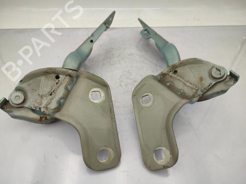 Hinge/Door check strap RENAULT CLIO III (BR0/1, CR0/1) 1.5 dCi (BR17, CR17) | BP23677621C146 