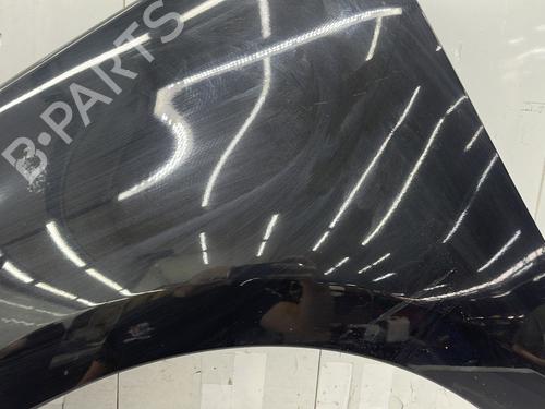 Left front fenders RENAULT SCÉNIC III (JZ0/1_) 1.9 dCi (JZ0J, JZ1J, JZ1K, JZ1S) | BP27304217C41 