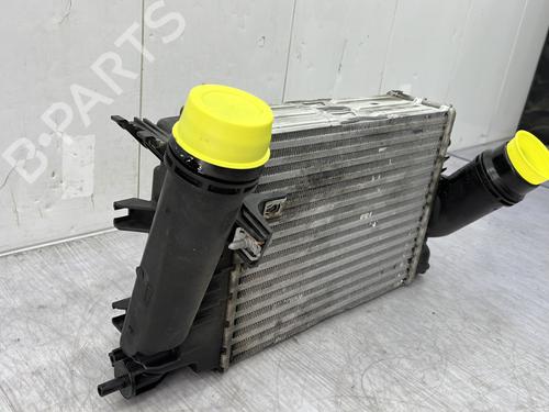 Intercooler RENAULT MEGANE IV Hatchback (B9A/M/N_) 1.6 dCi 165 | BP24940536M30 
