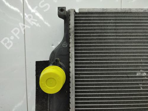 Køler TOYOTA RAV 4 III (_A3_) 2.2 D 4WD (ALA30_, ALA30R) | BP28673075M31