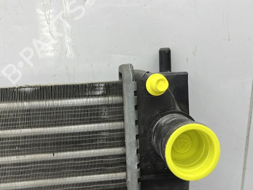 Køler RENAULT CLIO III (BR0/1, CR0/1) 1.2 16V | BP25715817M31 