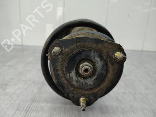 Right front shock absorber FORD TRANSIT CONNECT (P65_, P70_, P80_) 1.8 TDCi | BP23728976M17 