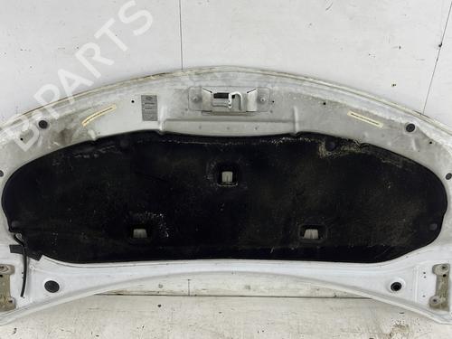Hood RENAULT CLIO III (BR0/1, CR0/1) 1.5 dCi (C/BR0G, C/BR1G) | BP24977956C1 