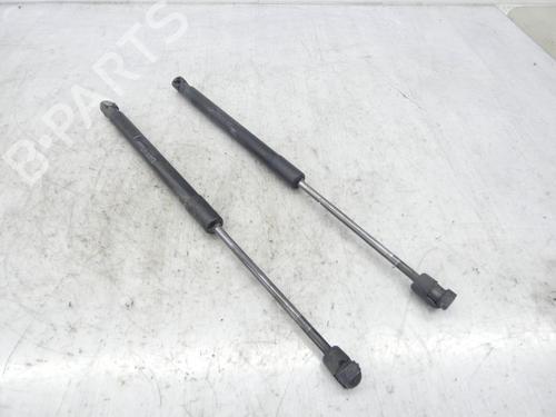 Tailgate lift support DACIA DUSTER (HS_) 1.5 dCi | BP23697746C138 