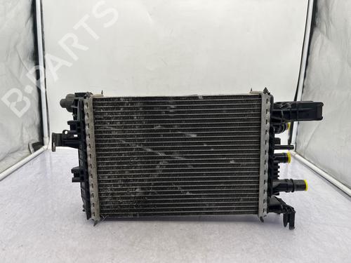 Used Water radiator Water radiator DACIA SANDERO II 1.5 Blue dCi 95 (B8JL) (95 hp) 35890481 35890481