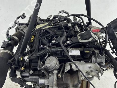 Engine FORD FIESTA VII (HJ, HF) 1.0 EcoBoost | BP27517041M1  - Image 7