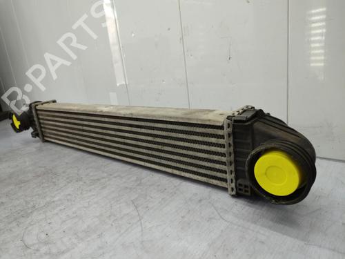 Intercooler MERCEDES-BENZ A-CLASS (W169) A 180 CDI (169.007, 169.307) | BP23712549M30 