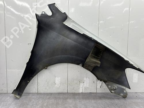 Left front fenders VW POLO V (6R1, 6C1) 1.4 TDI | BP31137684C41 