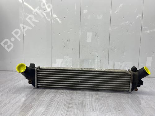 Intercooler RENAULT KANGOO Express (FC0/1_) | BP38283489M30 - Image 5