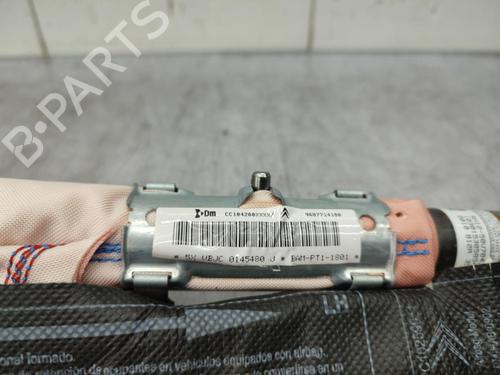 right-curtain-airbag-citroen-c5-iii-break-rw_-2008-2009-2010-2011-2012-2013-2014-2015-2016-2017-23712724 main image