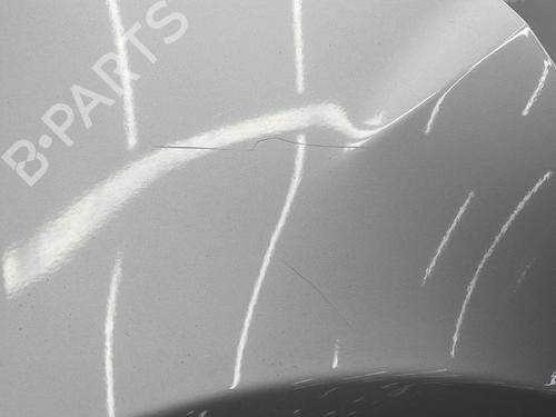 Left front fenders RENAULT CLIO III (BR0/1, CR0/1) 1.5 dCi (BR17, CR17) | BP29634701C41