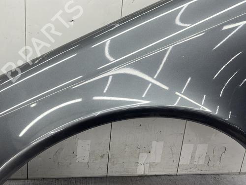 Left front fenders MERCEDES-BENZ E-CLASS (W211) E 320 CDI 4-matic (211.089) | BP25997688C41 