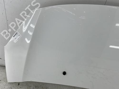 Hood CITROËN C3 II (SC_) 1.4 HDi 70 (SC8HZC, SC8HR0, SC8HP4) | BP29243259C1 