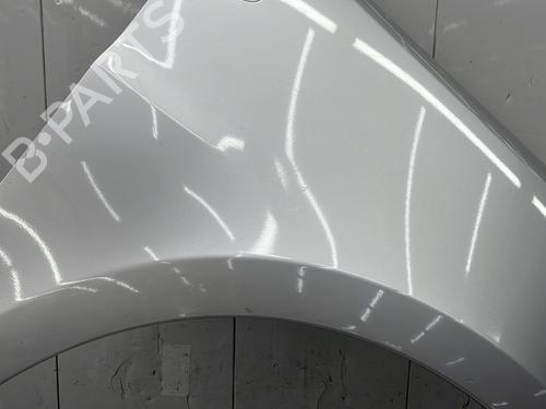 Right front fenders RENAULT CLIO III (BR0/1, CR0/1) 1.2 16V | BP23663047C42 