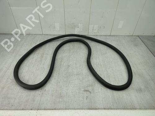 Used Rubber door seal VW TIGUAN (5N_) 2.0 TDI (140 hp) 24883454