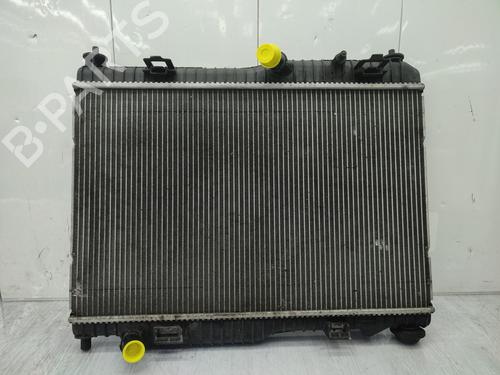 Køler FORD B-MAX (JK) 1.0 EcoBoost (125 hp) 28817038