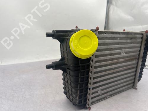 Intercooler Intercooler NISSAN NOTE (E12) 1.2 DIG-S (98 hp) 36646408 36646408