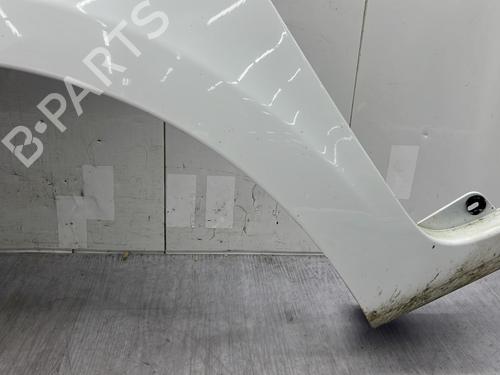 Left front fenders RENAULT CLIO III (BR0/1, CR0/1) 1.5 dCi (C/BR0G, C/BR1G) | BP25006487C41 