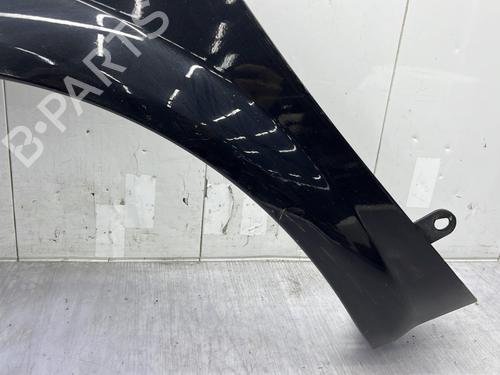 Left front fenders RENAULT MEGANE II Coupé-Cabriolet (EM0/1_) 1.9 dCi | BP30538436C41