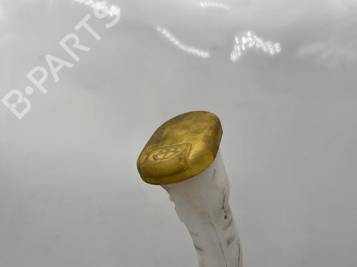 Windscreen washer tank RENAULT TWINGO II (CN0_) 1.2 (CN0D) | BP31025899C113 