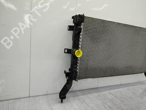 Water radiator RENAULT LATITUDE (L70_) 2.0 dCi 175 (L70Y, L734) | BP23711725M31 - Image 8
