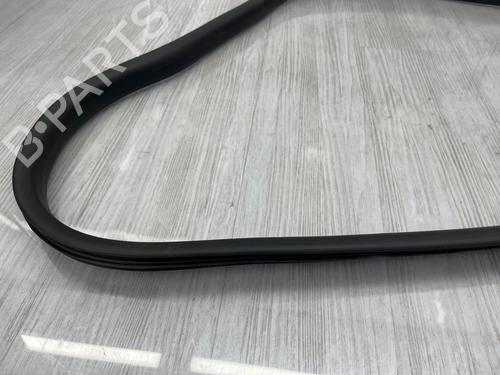 rubber-door-seal-dacia-sandero-iii-2021-37868055 main image